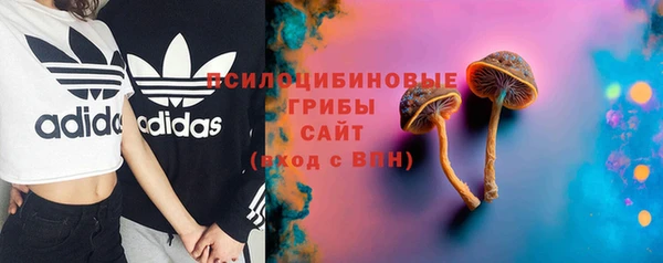 стафф Белокуриха