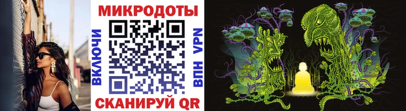 купить Нестеров Псилоцибиновые грибы Magic Shrooms